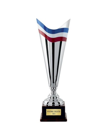 Achetez La Récompense Parfaite : Coupe Argent 100% Métal - Cp4301c