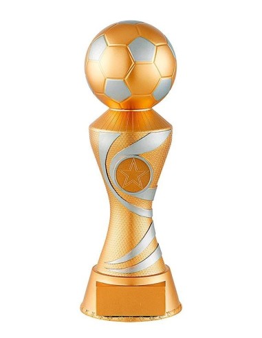 Achetez La Récompense Parfaite : Trophée Ballon - Rs0041b