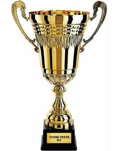 Trophée football RS2801 - déstockage trophées 