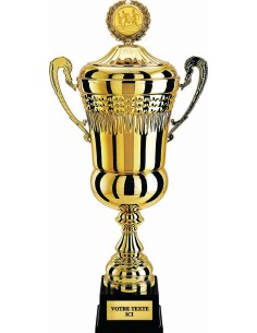 Trophée football RS2801 - déstockage trophées 