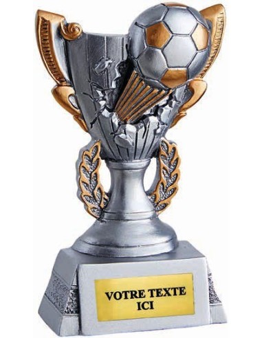 Achetez La Récompense Parfaite : Trophée Football - Rs5022
